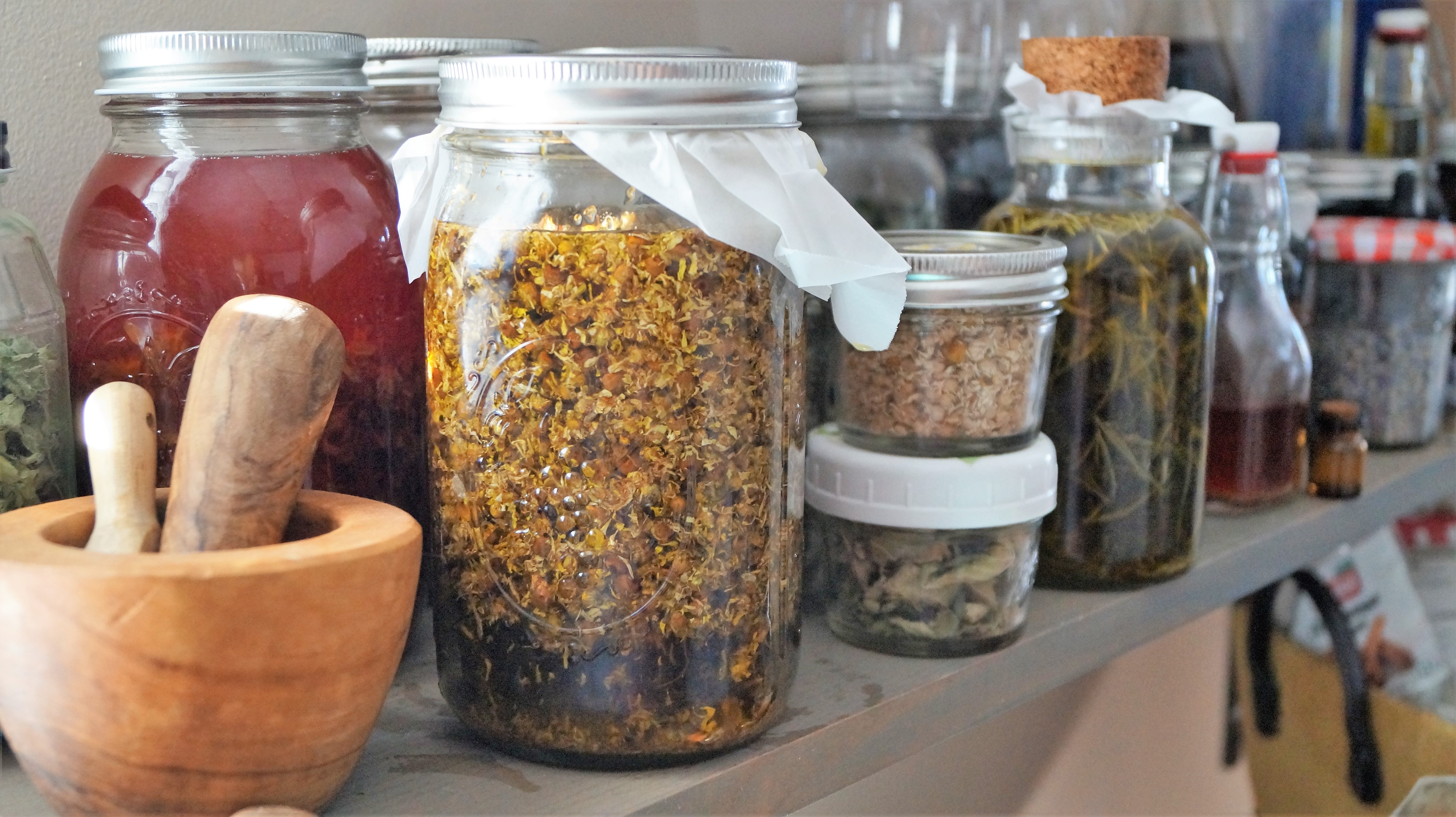 Jars of dried herbs and herbal infusions on a shelf with a wooden mortar and pestle, seeming to invite the viewer to shop the apothecary.